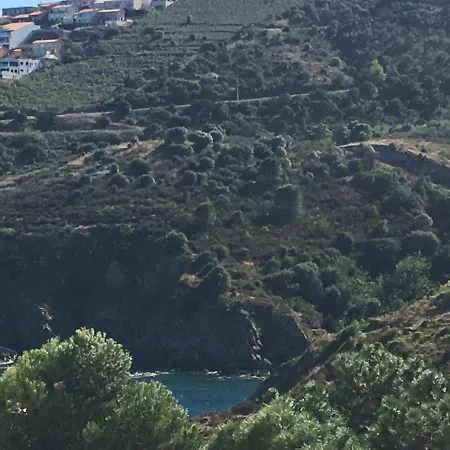 Aloès