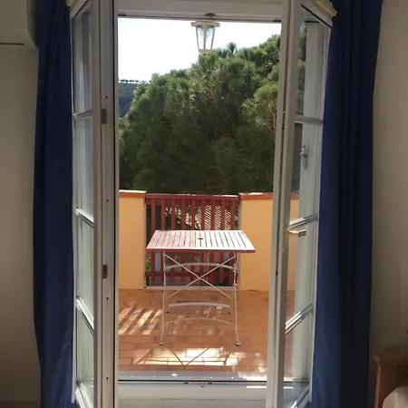 Aloès *